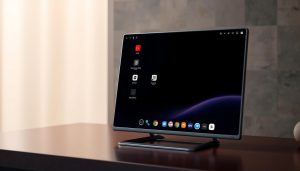 China OS ecosystem